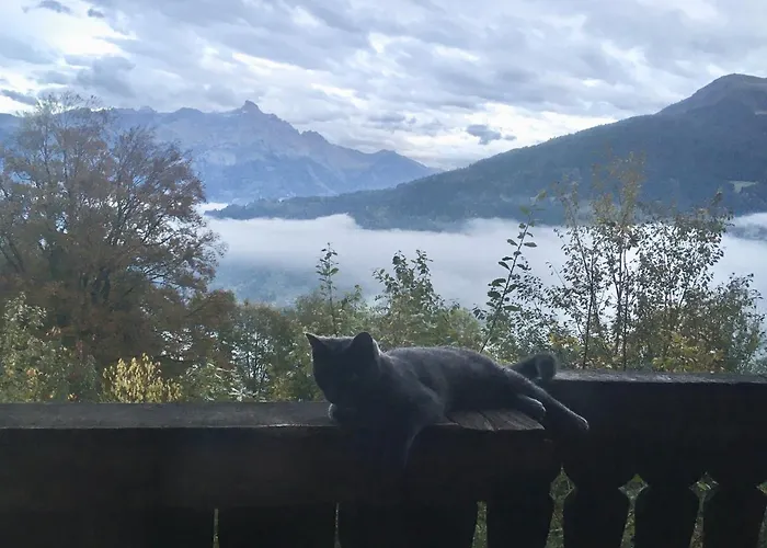 Bed and Breakfast Ingas