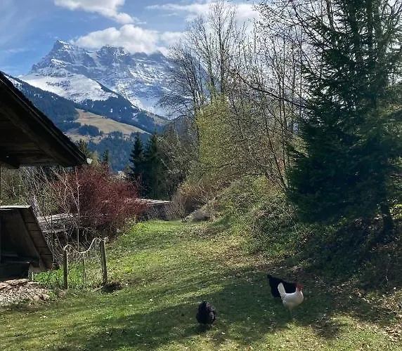 Bed and Breakfast Ingas