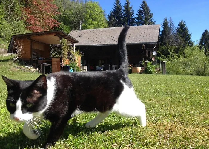 Bed and Breakfast Ingas Troistorrents